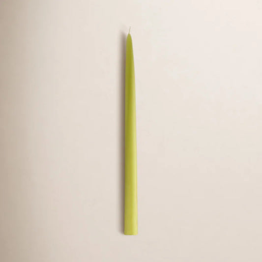 12 Piece Unscented Taper Candle Set (Set of 12)