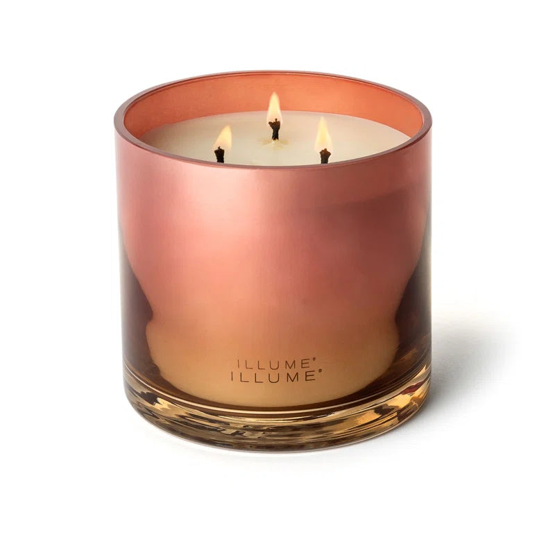 Beautifully Done Essentials Paloma Petal Statement Glass Scented Candle